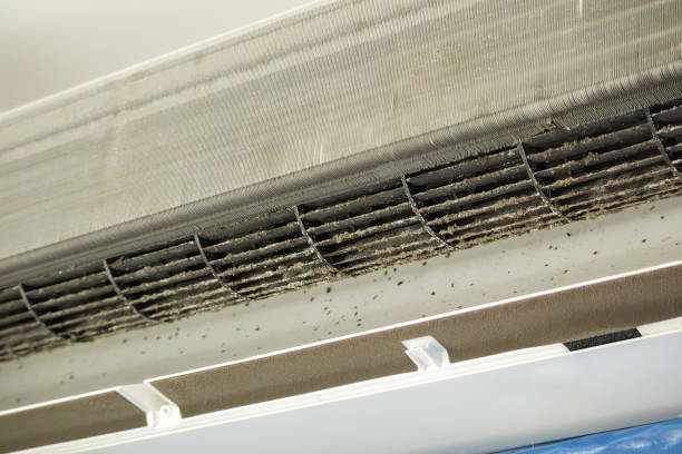 Best Best Air Duct Cleaning Company  in Ione, CA